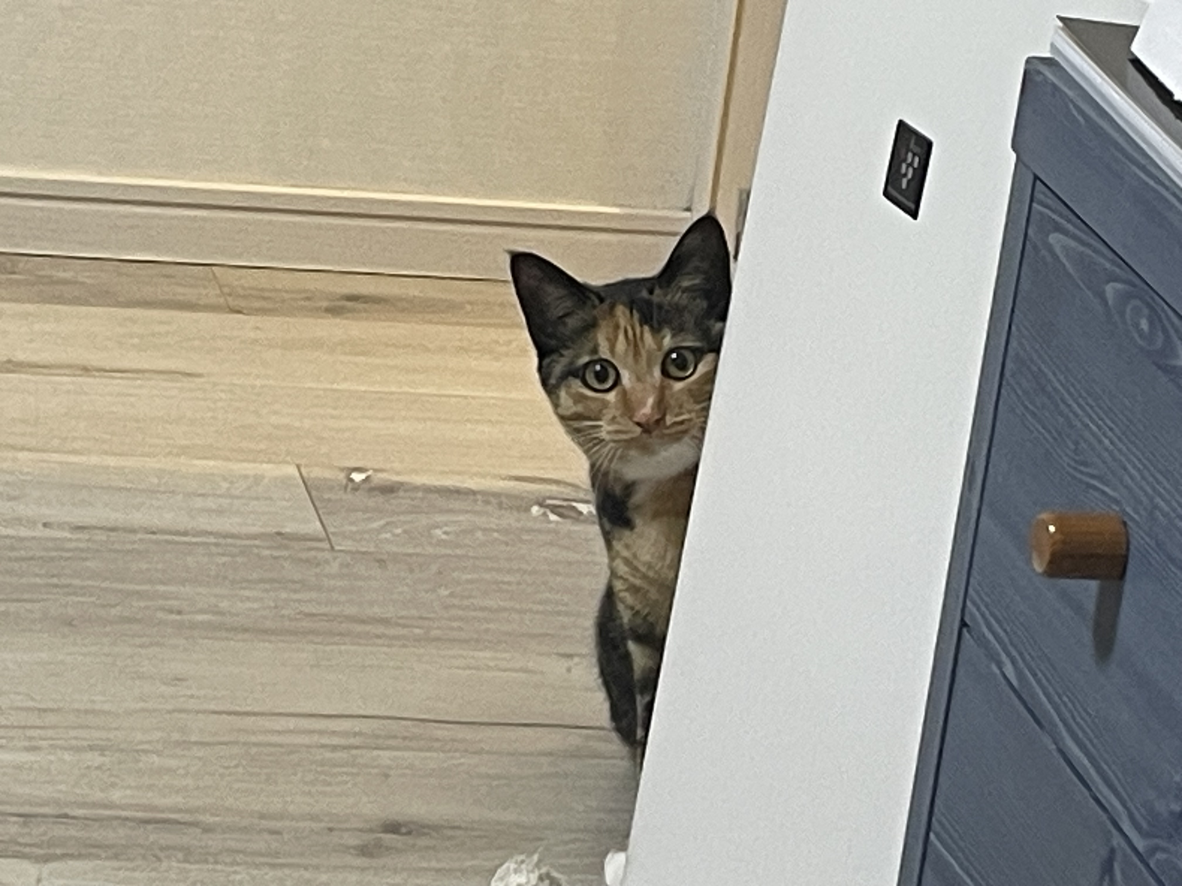 記事サムネイル