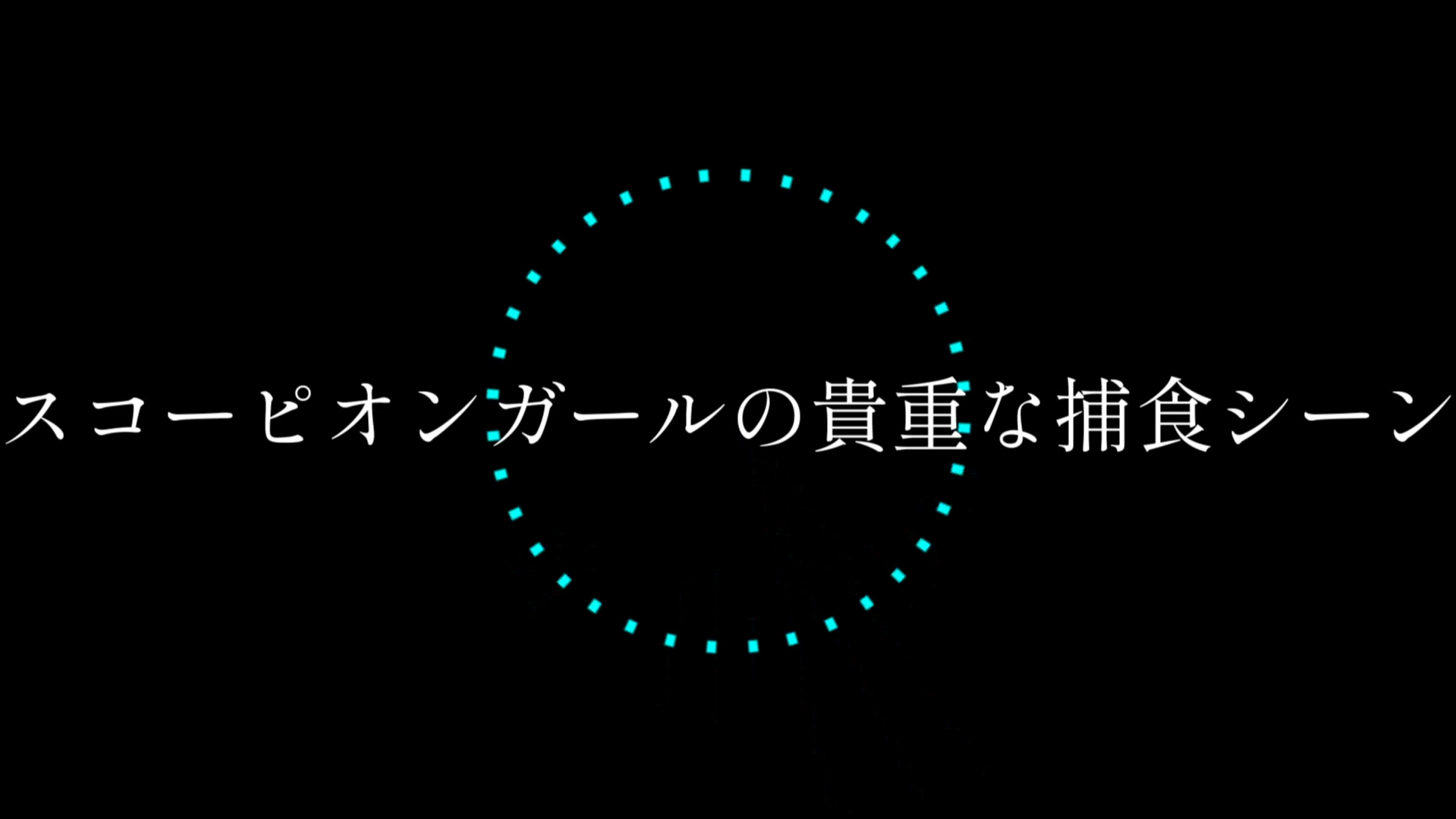 記事サムネイル